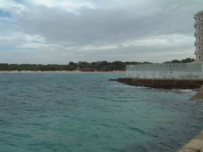 DSCF0093.JPG